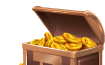 chest